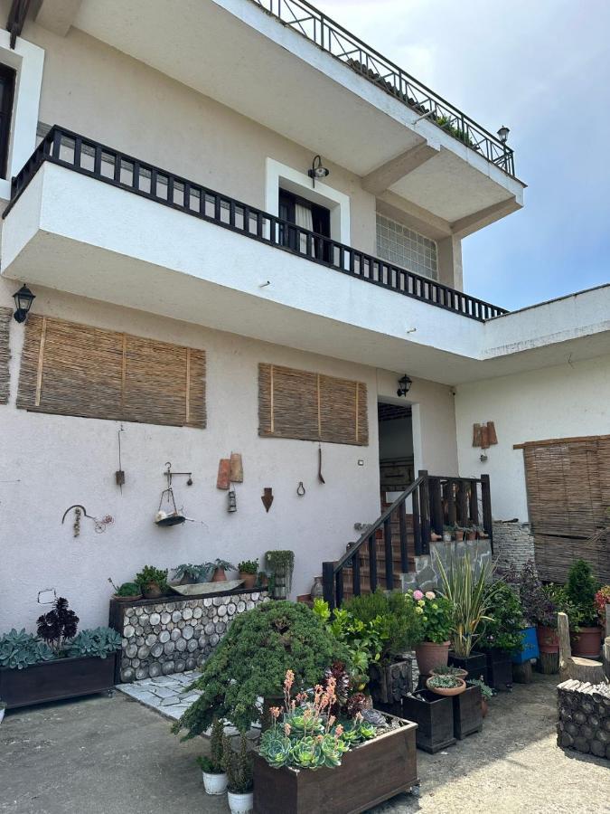 Bed & Breakfast Local Living Edi Berati Exterior foto