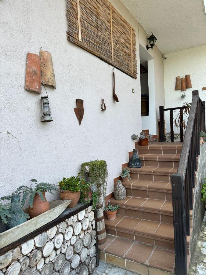 Bed & Breakfast Local Living Edi Berati Exterior foto
